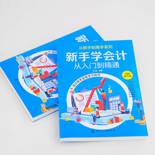 从新手到高手系列 新手学会计从入门到精通 陈晟 零基础学会计建账报账查账结账会计业务实操财会基础财务报表会计报表编制分析书 商品图3
