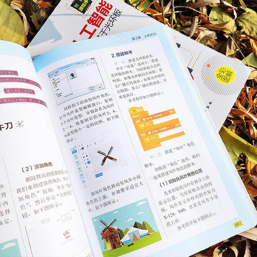 玩转物联网与人工智能 基于光环板 王克伟 范伟 于敏 编程人工智能和物联网开发思路及技巧 中小学生STEAM教育青少年创客书籍 商品图2