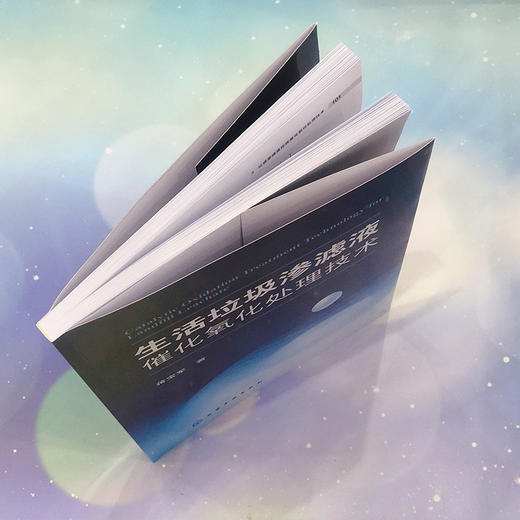 生活垃圾渗滤液催化氧化处理技术 商品图3