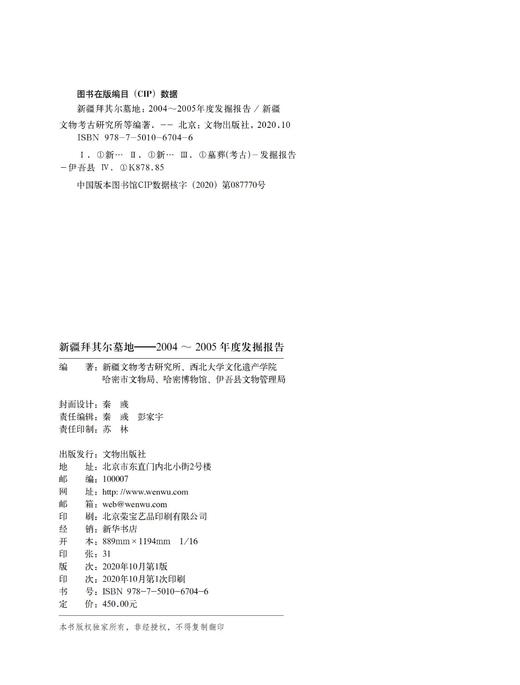 新疆拜其尔墓地——2004～2005年度发掘报告 商品图1