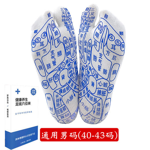 足底穴位袜子，保健脚赠点穴棒，专业足疗精准穴位经络袜子男女 底部人体反射图解男女按摩袜 商品图6