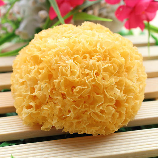 林中宝银耳100克/包（扶贫产品） 商品图2