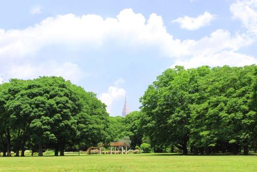 日本祭典与盛会--音乐节（二） 商品图1