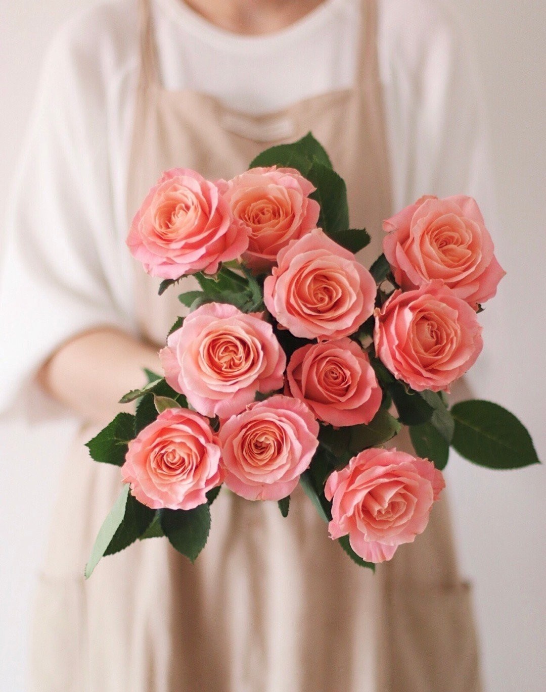 【周四秒杀】A级猪小姐10枝49.8元