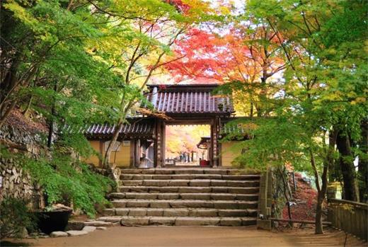 日本艺术与设计活动建筑-旧市镇街景二 商品图5