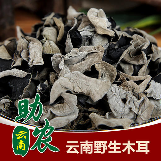 云南野生木耳1斤 商品图0