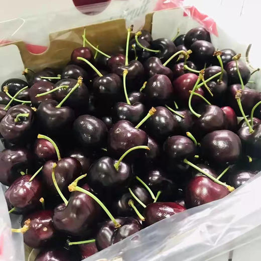 智利 奥数ALSU车厘子🍒4斤装左右/盒 3J大果 SANTINA❣高品质，热卖中💥 奥数真的是不可多得的空运好货✔个个漂亮，个个脆甜浓郁😋  无di黑车 嘎嘣脆甜 车厘子味浓郁 商品图1