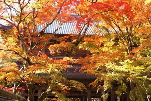 日本艺术与设计活动建筑-旧市镇街景二 商品图6