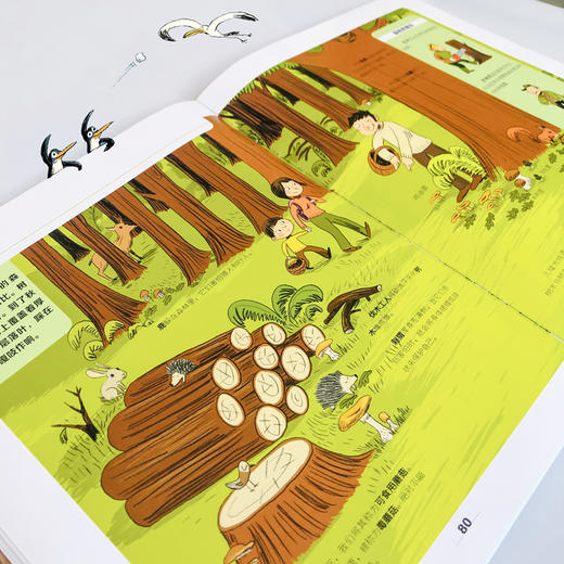 法国拉鲁斯儿童百科全书 商品图4