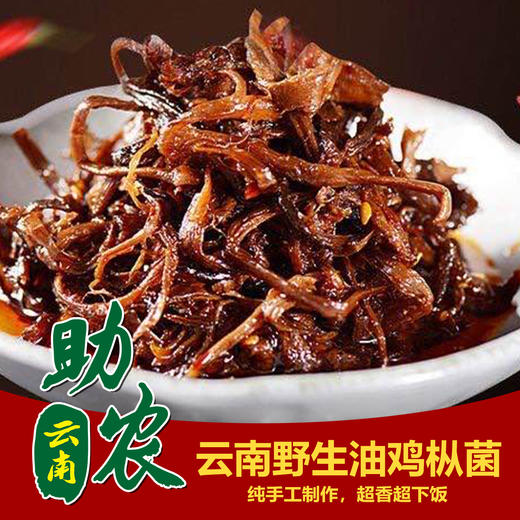 云南野生油鸡枞菌 商品图0