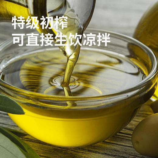 【常州馆】金膳狮特级初榨西班牙进口橄榄油500ml 商品图3
