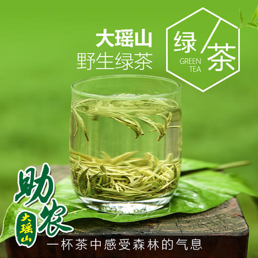 大瑶山野生绿茶1斤 商品图0