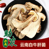 云南白牛肝菌1斤 商品缩略图0
