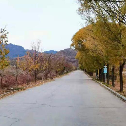 康之源休闲农场 庄园主报名 商品图4