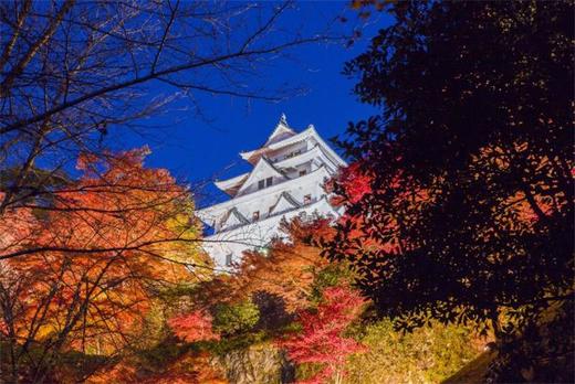 日本艺术与设计活动建筑-旧市镇街景二 商品图11