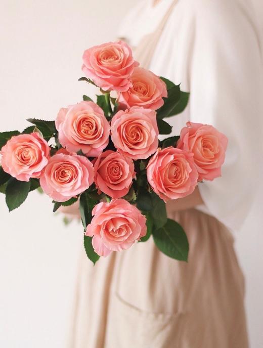 【周四秒杀】A级猪小姐10枝49.8元 商品图4