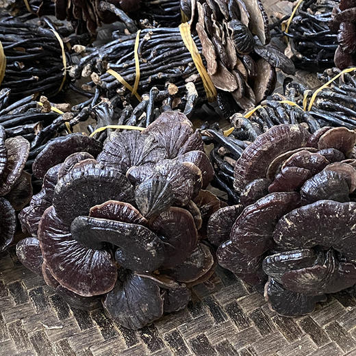 云南野生灵芝(500g) 商品图0