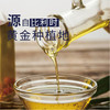 【常州馆】金膳狮纯亚麻籽油进口胡麻油天然婴儿食用油月子油冷榨一级 商品缩略图3