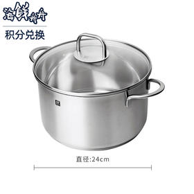 德国双立人Nova Plus汤锅20cm 24cm单锅蒸笼套装炖锅蒸屉不锈钢锅