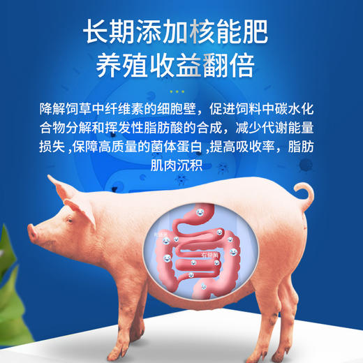 华畜 核能肥4斤装 奶粉载体 催肥溶水 长期添加核能肥 养殖收益翻个倍