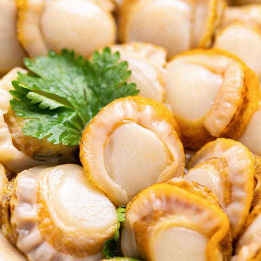 虾夷裙边扇贝肉4袋|清水煮鲜掉眉毛!肉厚鲜嫩,出口级别