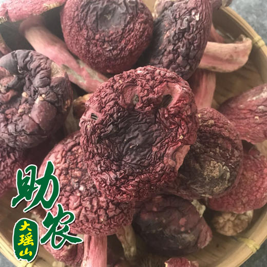 大瑶山野生干红菇1斤 商品图0