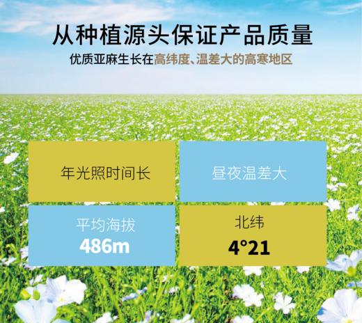 【常州馆】金膳狮纯亚麻籽油进口胡麻油天然婴儿食用油月子油冷榨一级 商品图2