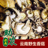 云南野生香菇1斤 商品缩略图0