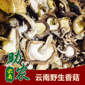 云南野生香菇1斤