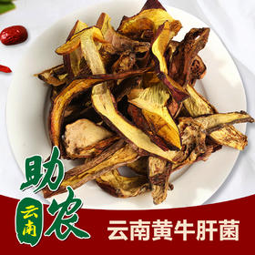 云南黄牛肝菌1斤