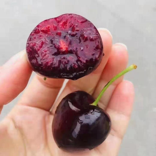 智利 奥数ALSU车厘子🍒4斤装左右/盒 3J大果 SANTINA❣高品质，热卖中💥 奥数真的是不可多得的空运好货✔个个漂亮，个个脆甜浓郁😋  无di黑车 嘎嘣脆甜 车厘子味浓郁 商品图5