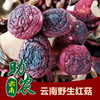 云南野生红菇 商品缩略图0