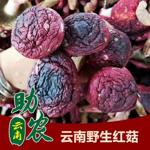 云南野生红菇 商品图0