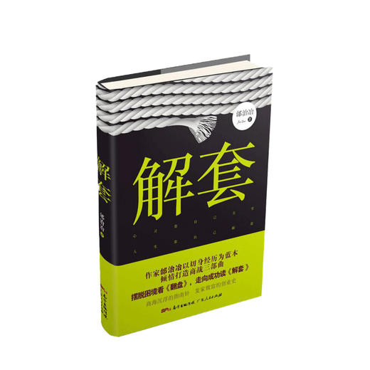 新书预售 解套 邰治冶著 摆脱困境房地产业短篇文学小说纪实小说 商品图0