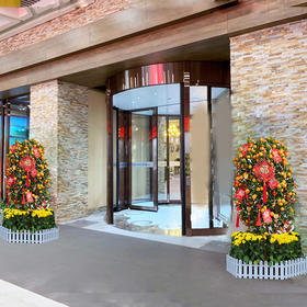 年桔蝴蝶兰喜庆新春公司企业酒店大厅前台装扮年宵盆栽开业乔迁亲友送礼