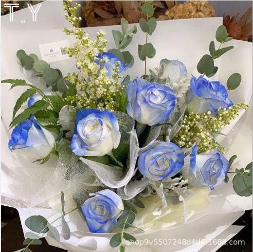 鲜花喷色剂彩喷--星乐 A 商品图1