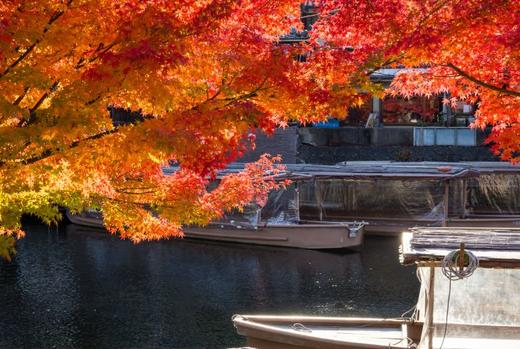 日本自然-河流 商品图13