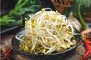 黄豆芽    500g/份 商品缩略图0