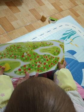 《小鸡球球成长系列图画书》：封面小鸡球球头顶草莓 ，很吸引眼球，引起宝宝好奇心