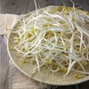 绿豆芽   500g/份 商品缩略图0