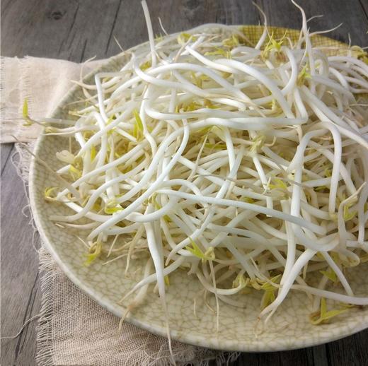 绿豆芽   500g/份 商品图0