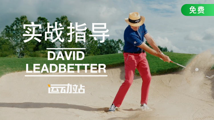 实战指导-大卫·利百特
