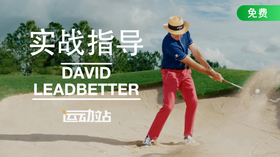 实战指导-大卫·利百特