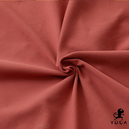 壁虎瑜伽2020【和熙】高领磨毛长袖瑜伽T恤（无胸垫） 商品图5