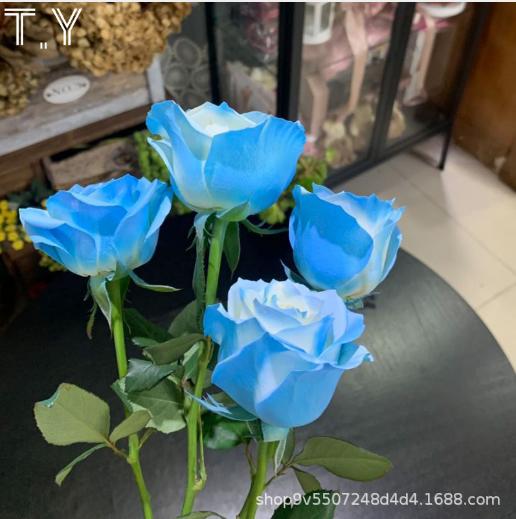 鲜花喷色剂彩喷--星乐 A 商品图5