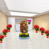 年桔蝴蝶兰一品红红掌鸿运当头喜庆新春公司企业酒店大厅前台装扮年宵盆栽开业乔迁亲友送礼 商品缩略图2
