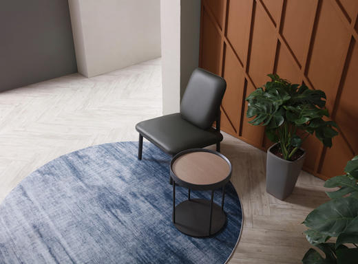 Bollin 休闲椅 商品图3