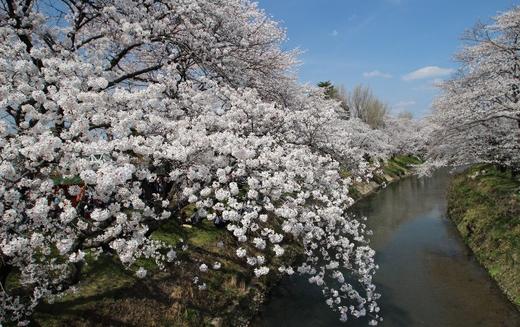 日本自然-河流 商品图5