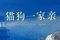 猫狗一家亲