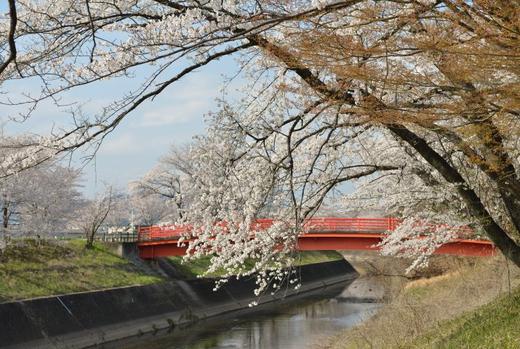 日本自然-河流 商品图6